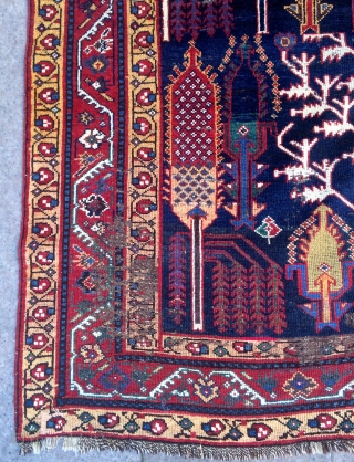 Persian rug size 260x155cm
                             