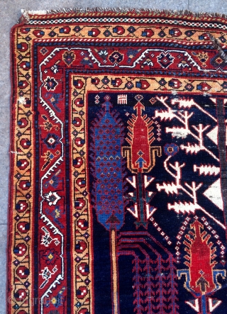 Persian rug size 260x155cm
                             