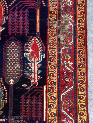 Persian rug size 260x155cm
                             
