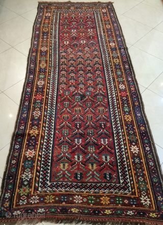 Kurdish carpet size 290x115cm                             