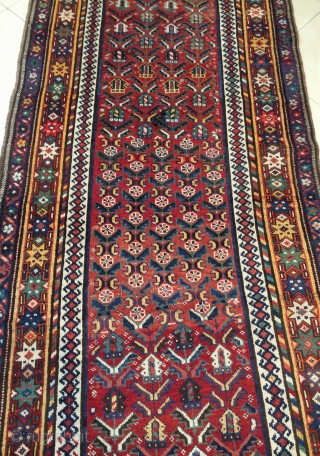 Kurdish carpet size 290x115cm                             