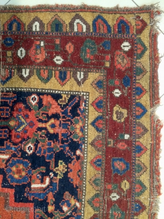 Kurdish carpet all colors natural dyes size 230x130cm                         