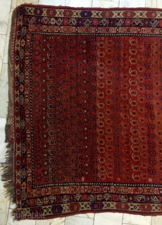 Persian Carpet size 330x115cm 
                            