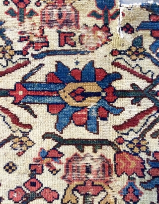 Persian fragmand Carpet                              