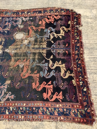 Persian Kurdish carpet size 365x195cm                            