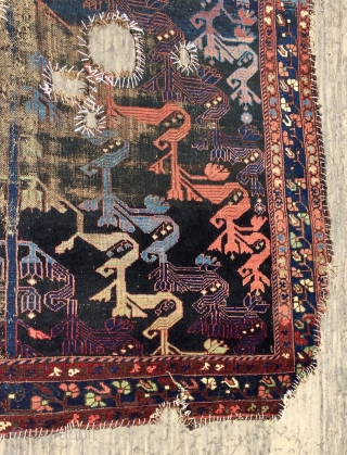 Persian Kurdish carpet size 365x195cm                            