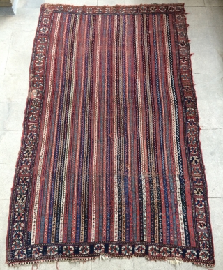 Afshar Carpet size 240x160cm                             