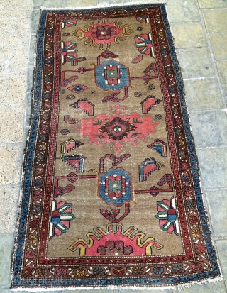 Persian Kurdish carpet Background color camel wool all are color natural dyes size 190x100cm                   