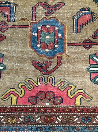 Persian Kurdish carpet Background color camel wool all are color natural dyes size 190x100cm                   