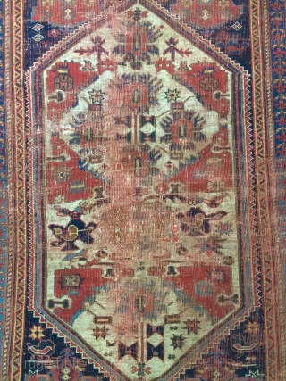 Avshar carpet size 160x125cm                             