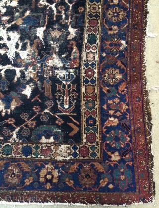 Persian Carpet but I dont  know which region, maybe Hamedan Armenian bafd.Because  model and colors close to that region size 340x200cm          