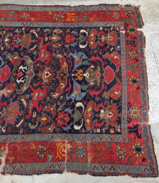 Zehur carpet size 300x150cm                             