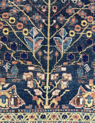 Afshar rug tree of life size 140 x 120 cm                       