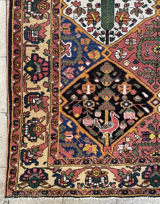 Bahtiyar Carpet size 200x160cm                             