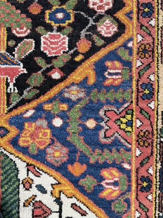 Bahtiyar Carpet size 200x160cm                             