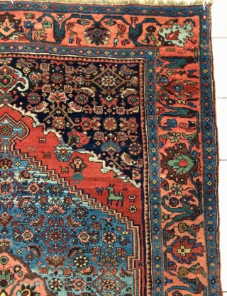 Rare Bidjar carpet wool on wool, very soft and very nice quality, all are colors natural dyes. 
Size 200x135cm              