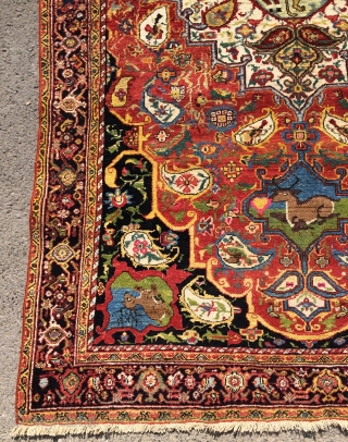 Rare sine Carpet size 230x115cm                            