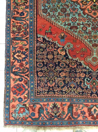 Rare Bidjar carpet wool on wool, very soft and very nice quality, all are colors natural dyes. 
Size 200x135cm              