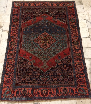 Rare Bidjar carpet wool on wool, very soft and very nice quality, all are colors natural dyes. 
Size 200x135cm              