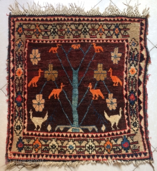 Qhasgai tree of life carpet size 75x75cm 1950s                         