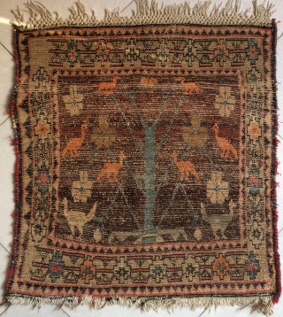 Qhasgai tree of life carpet size 75x75cm 1950s                         