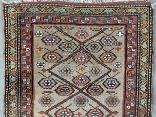 North west Kurdish carpet ground camel wool size 240x110cm                        