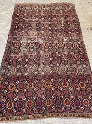 Beshir main carpet size 320x176cm                            