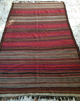 Beluch kilim all are colors natural dyes size 245x145                        