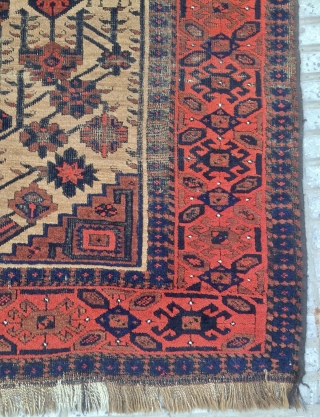 Beluch Carpet                               