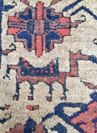 Beluch Carpet                               