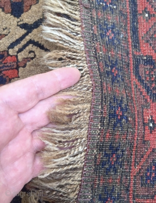 Beluch Carpet                               