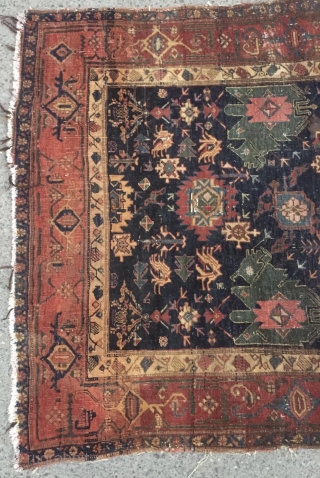 Kurdish bidjar carpet 210x130cm                             