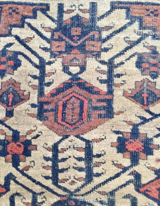 Beluch Carpet                               