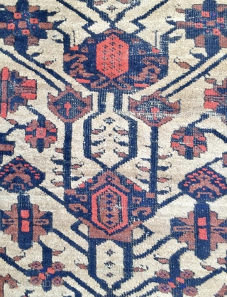 Beluch Carpet                               