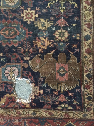 Kurdish bidjar carpet 210x130cm                             