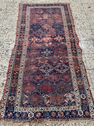 Kurdish carpet size 245x125cm                             