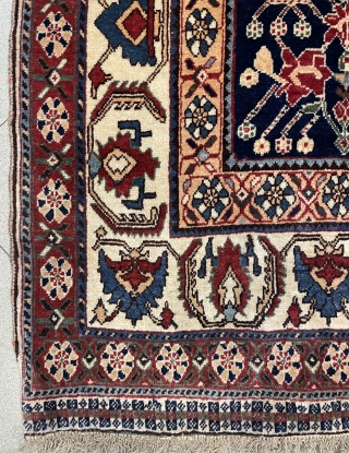 Qhasgia qhasguli carpet size 225x145cm                            