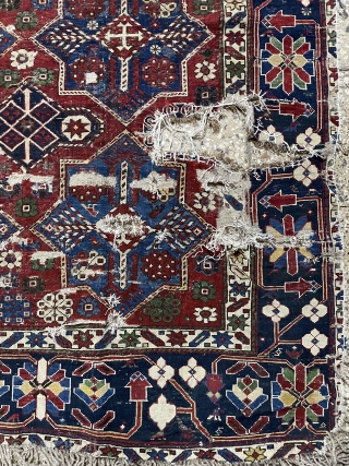 Caucasian shirvan carpet size 275x140cm
                            