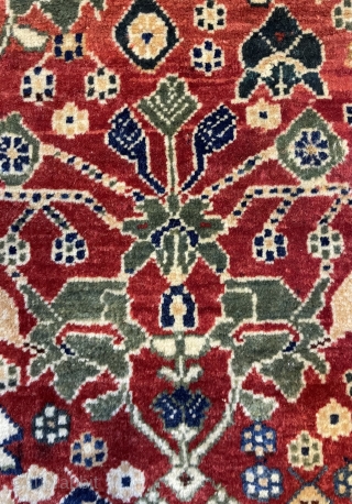 Qhasgia qhasguli carpet size 225x145cm                            