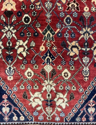 Qhasgia qhasguli carpet size 225x145cm                            