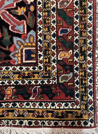 a rare nice bahtiyar rug