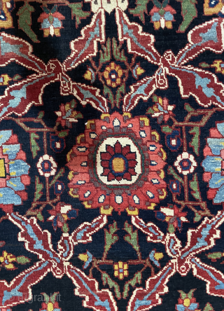 a rare nice bahtiyar rug