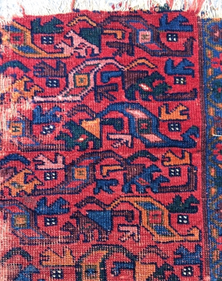 Persian very old Kurdish fragmant rug size 112x120cm                         