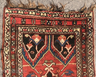 Rare Kurdish Carpet size 330x100cm                            
