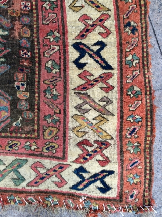 Rare Kurdish carpet 18.century size 300x135cmm                           