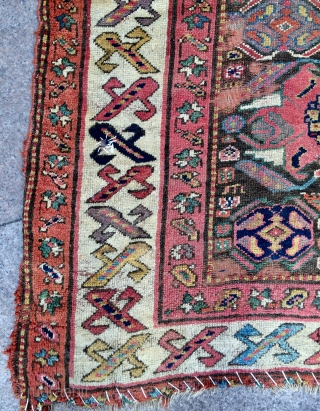 Rare Kurdish carpet 18.century size 300x135cmm                           