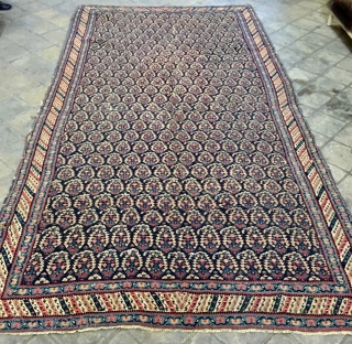 Sine kilim wool on wool very fine quality. Size 370x195cm                       