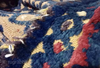 Qhasgai horse cover                              
