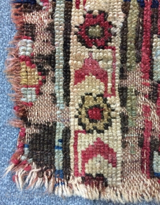 Persian North west fragmand                             