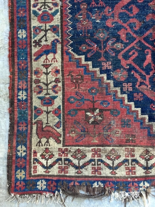 Persian Kurdish carpet size 113x107cm
                            
